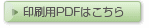 pPDF͂